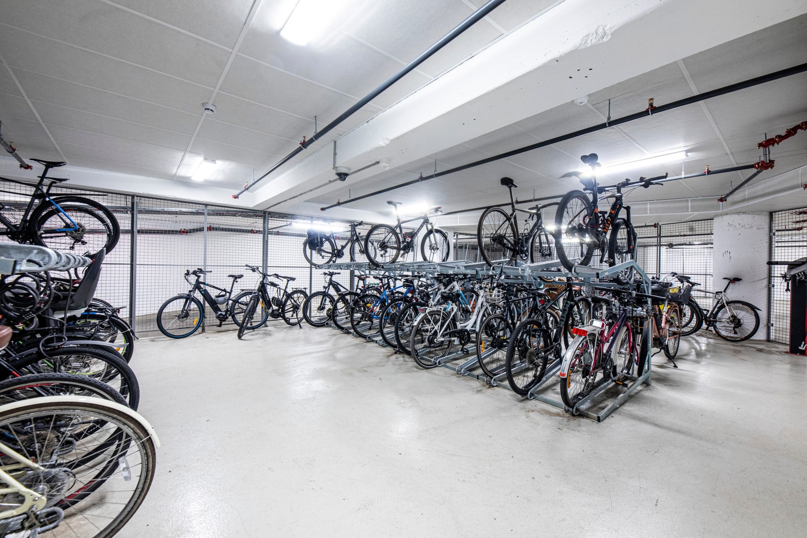 Sykkelparkering i kjeller. Galleribilde