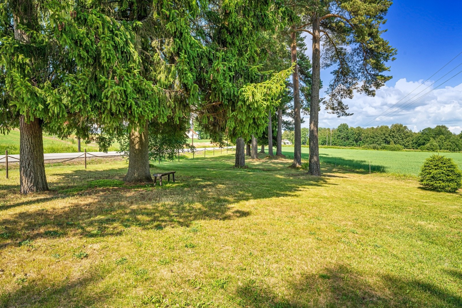 "Skogdel" av tomt mot vest, opparbeidet til "Park" med hevdinnkjøring til den del av eiendommen. Galleribilde