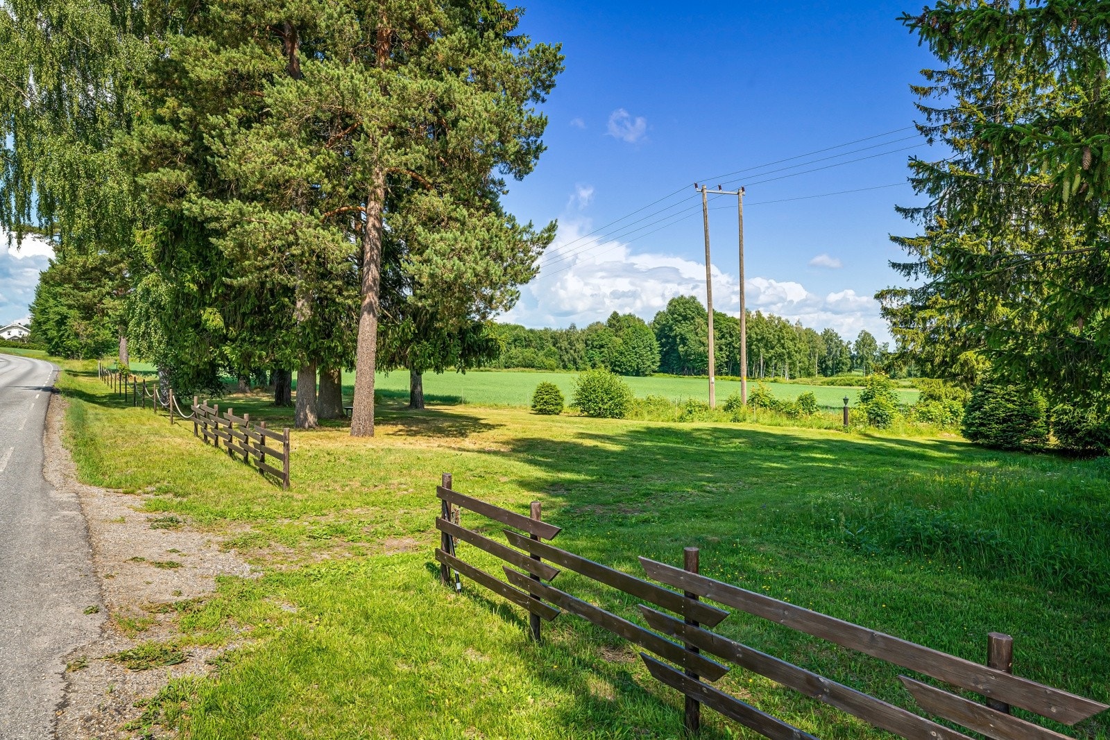 "Skogdel" av tomt mot vest, opparbeidet til "Park" med hevdinnkjøring til den del av eiendommen. Galleribilde