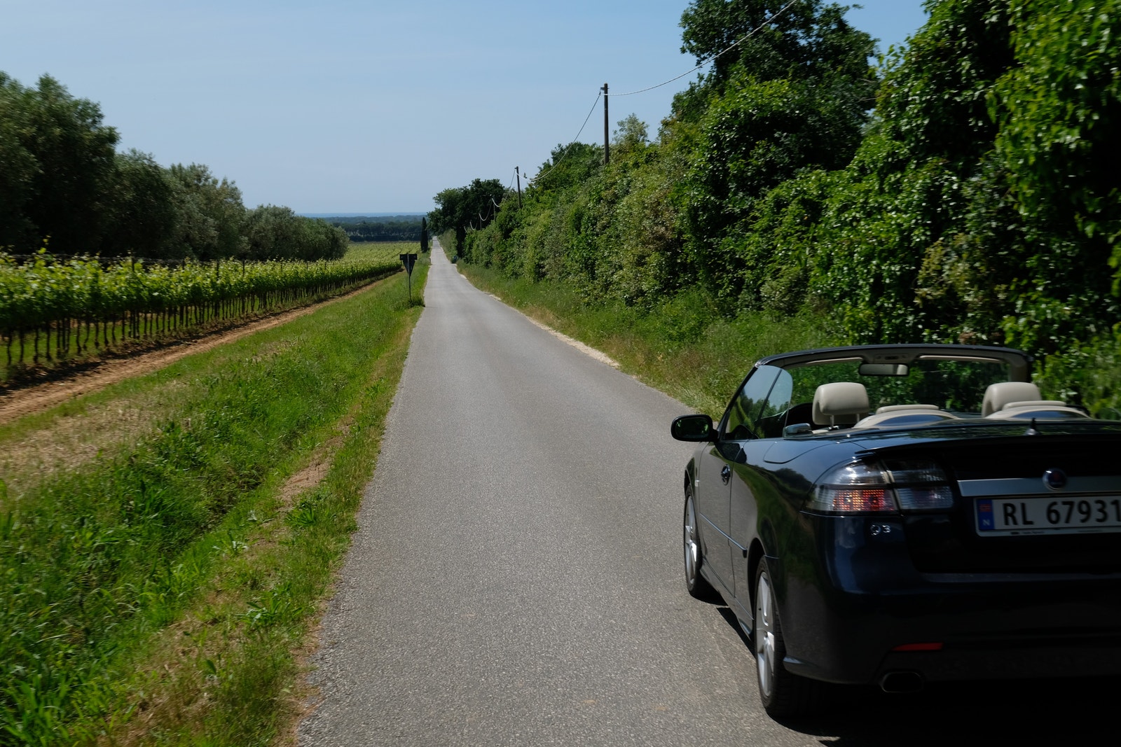 Bolgheri vindistrikt 40 minutter unna Galleribilde