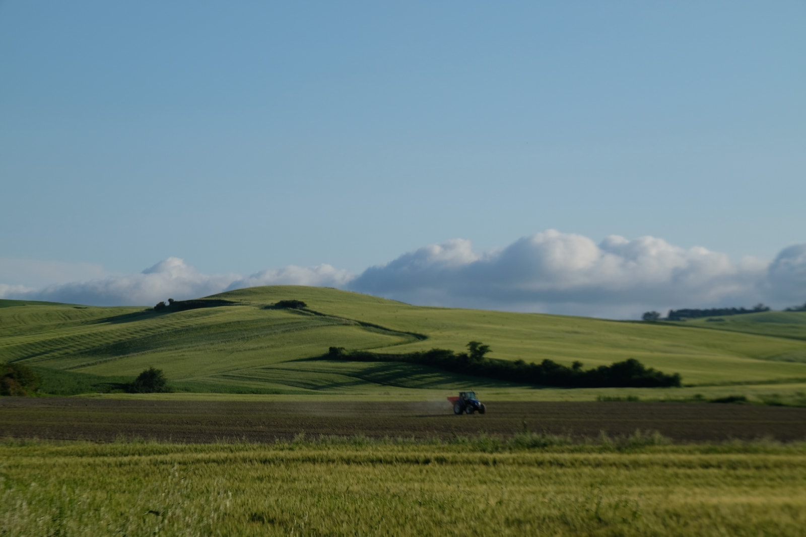 Nærområdet Galleribilde