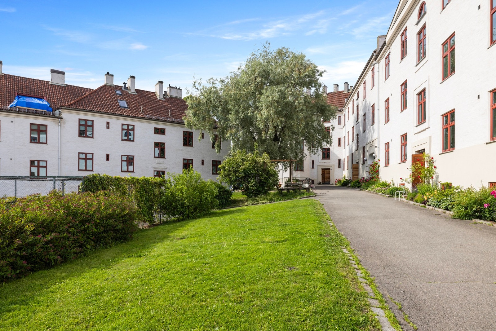 Grønt og frodig! Galleribilde