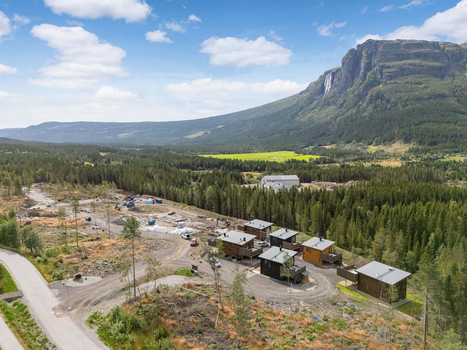 Oversiktsbilde over feltet. Galleribilde