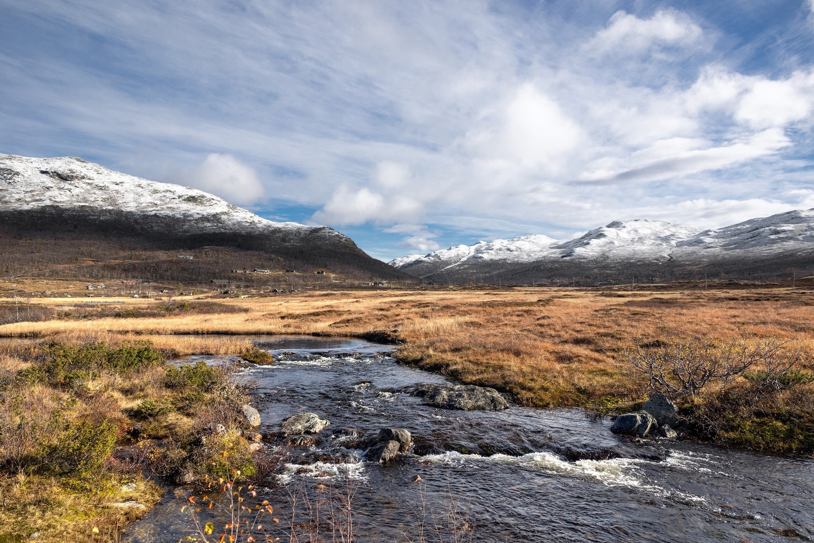 Høstfarger i fjellet. Galleribilde