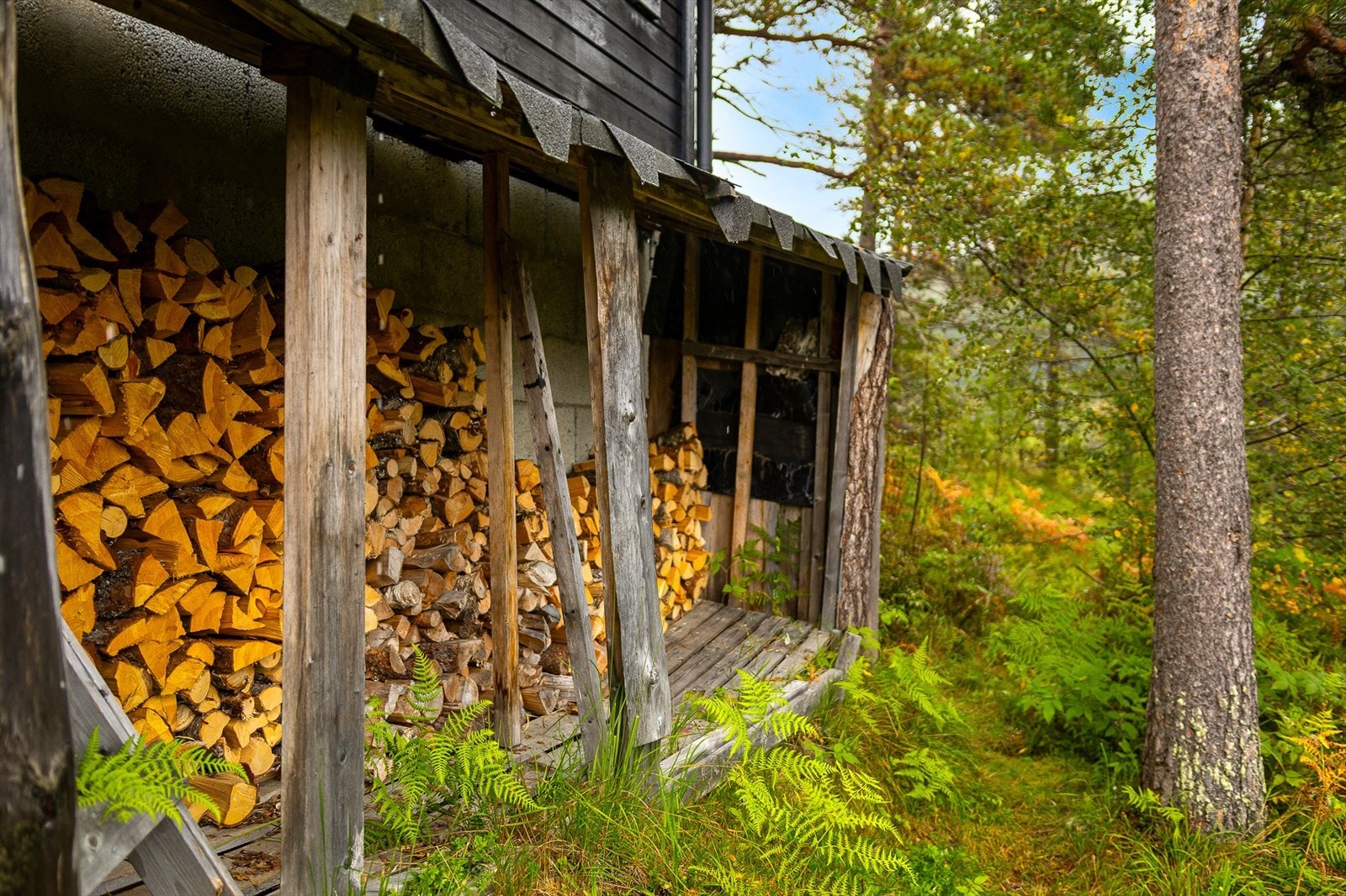 Godt med ved medfølger. Galleribilde