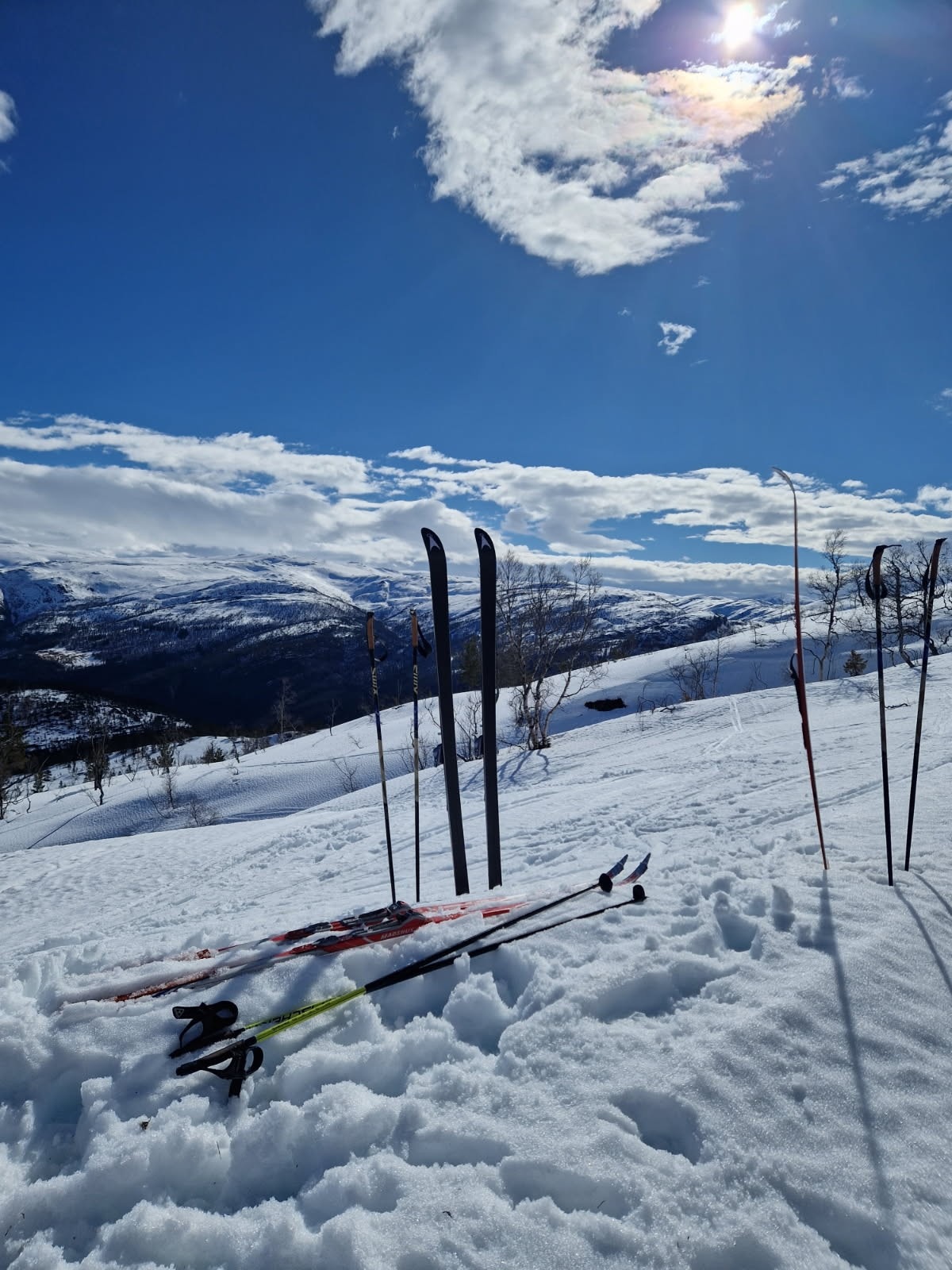 Vinterbilde Galleribilde