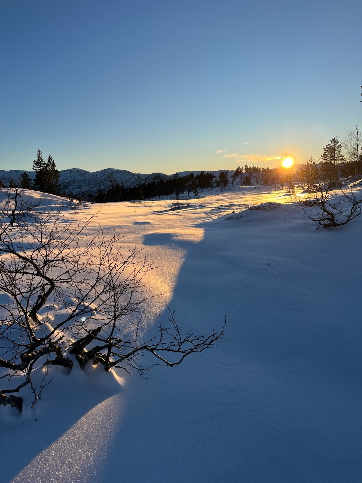 Vinterstemning. Galleribilde