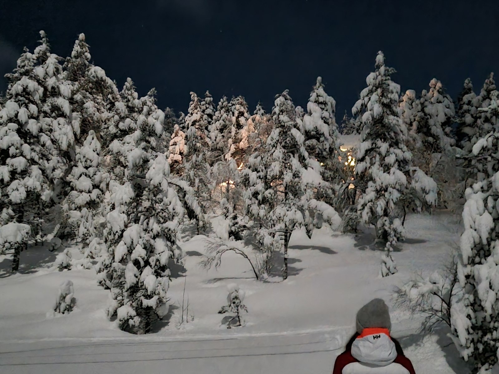 Vintersteming. Galleribilde