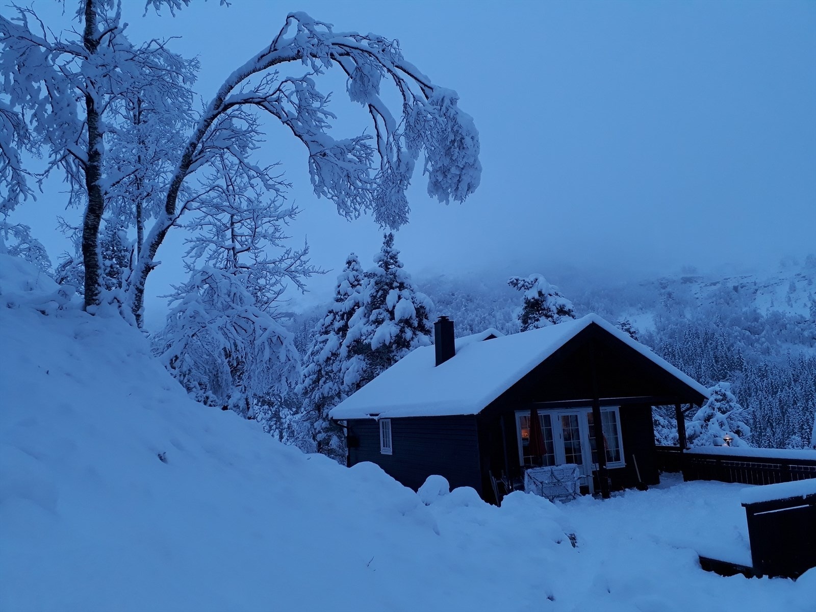 Vinterbilde. Galleribilde