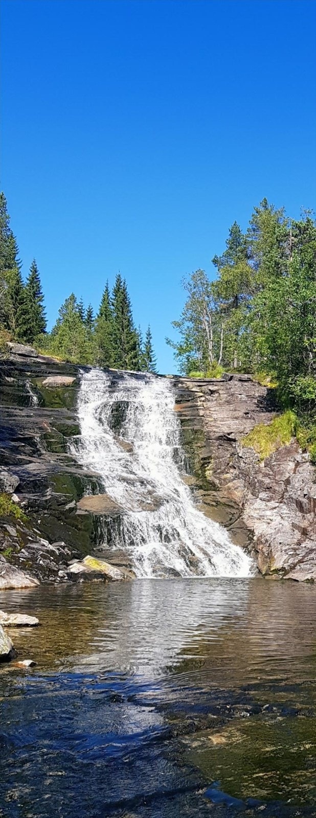 Foss i området. Flott naturområde. Galleribilde