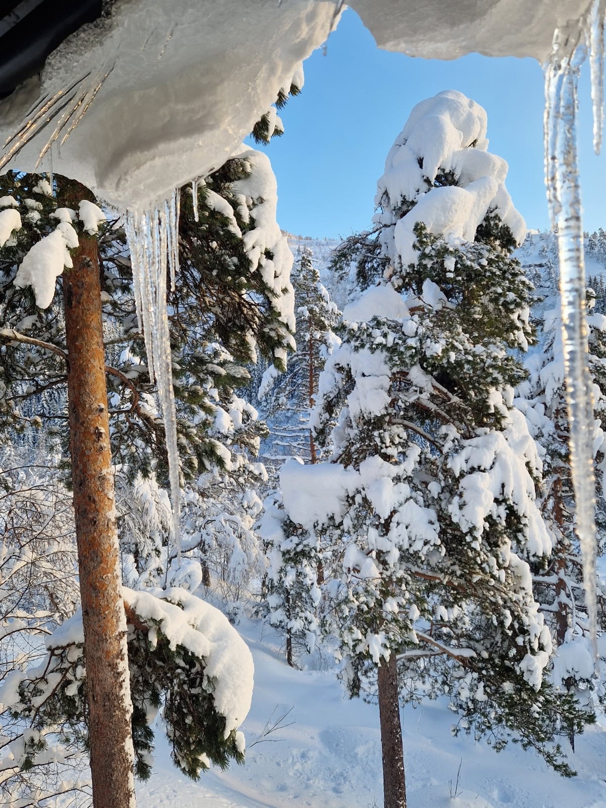 Vinterbilde Galleribilde