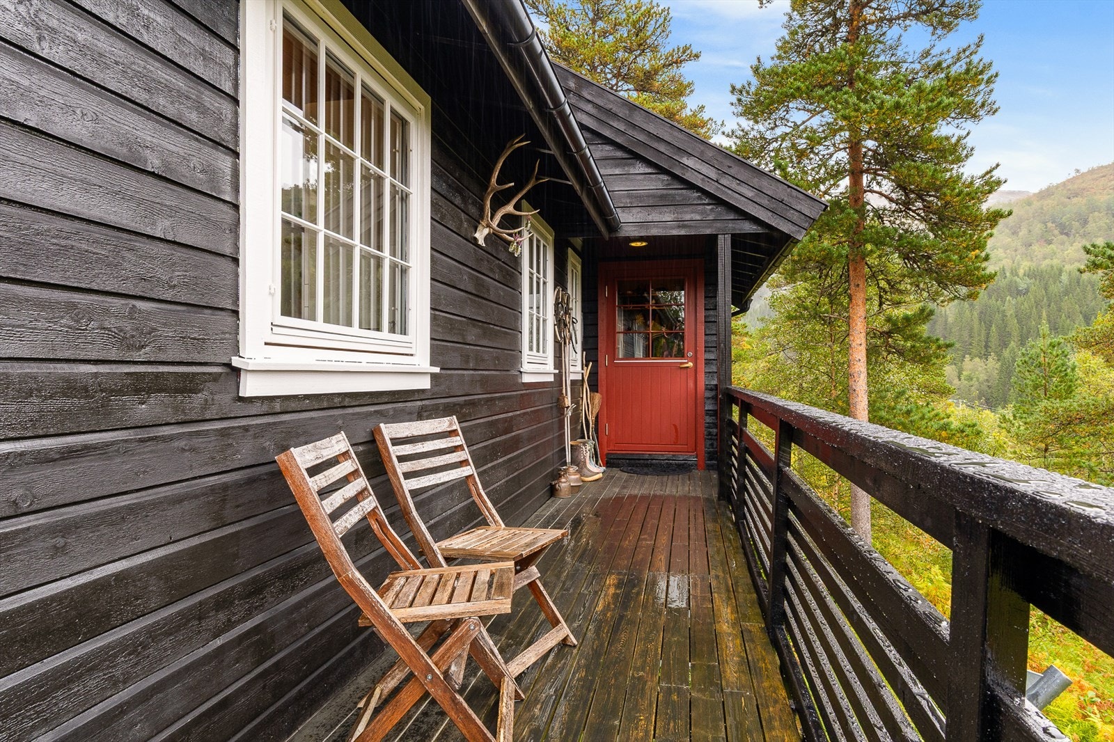 Inngangsparti. Galleribilde