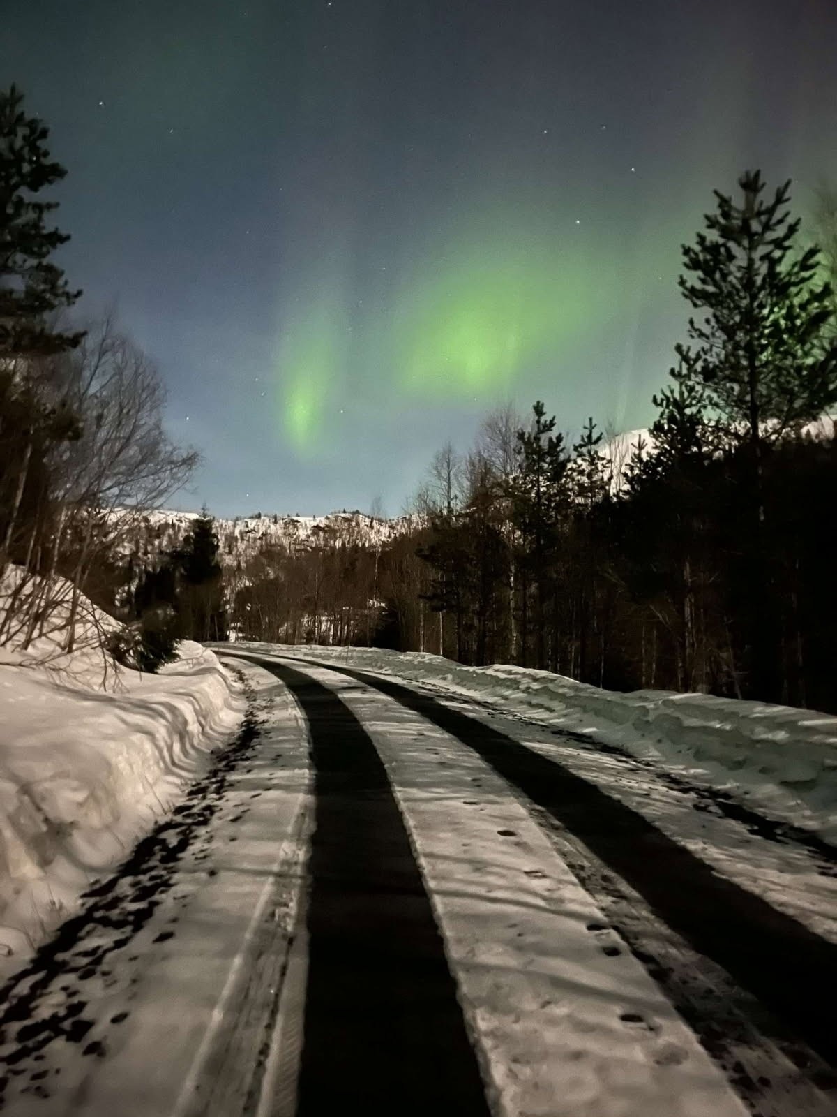 Nordlys på vei oppover Geilavegen. Galleribilde