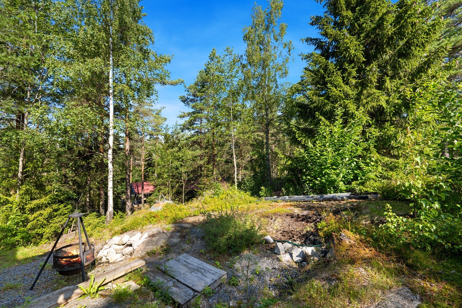 Stor tomt med muligheter for å tilpasse eget bruk Galleribilde