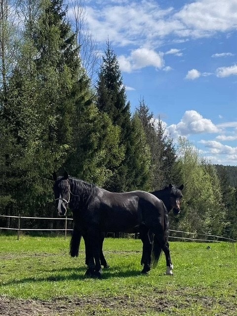 Privat bilde Galleribilde