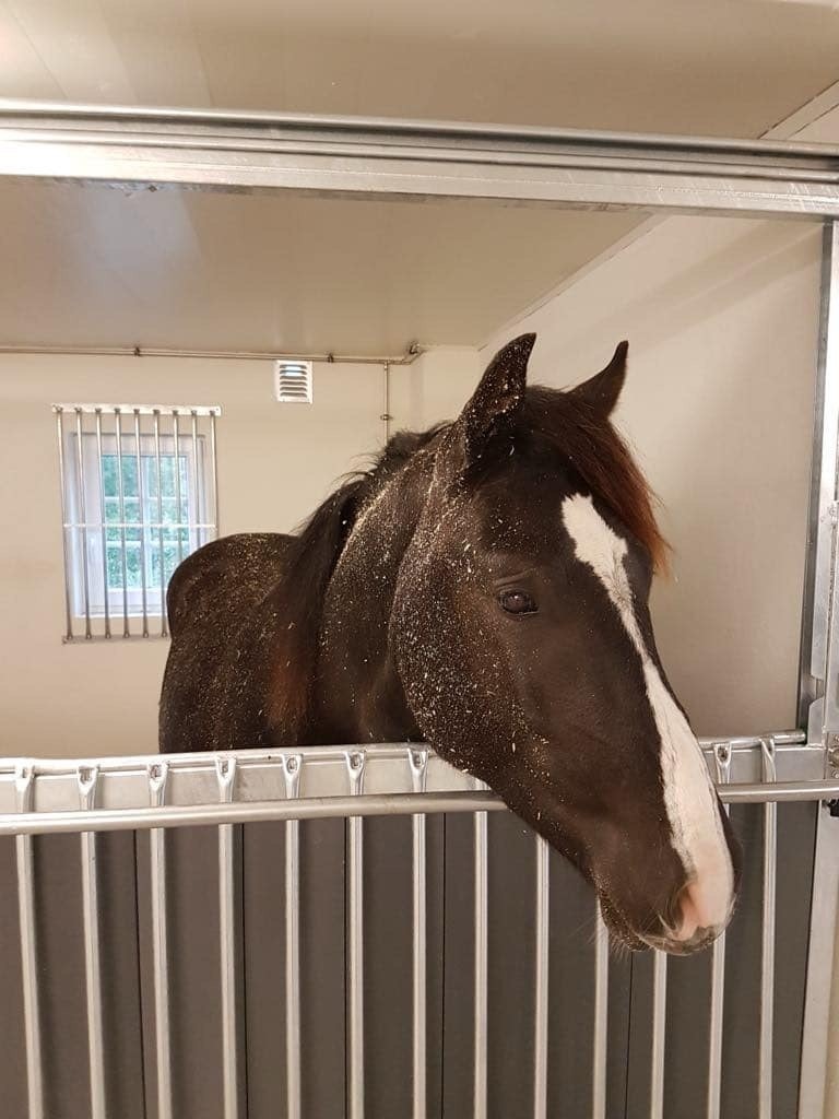 Privat bilde Galleribilde