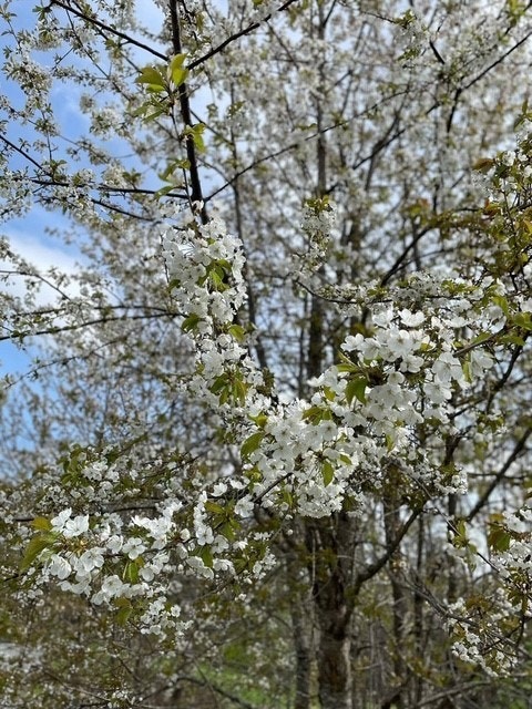 Privat bilde Galleribilde