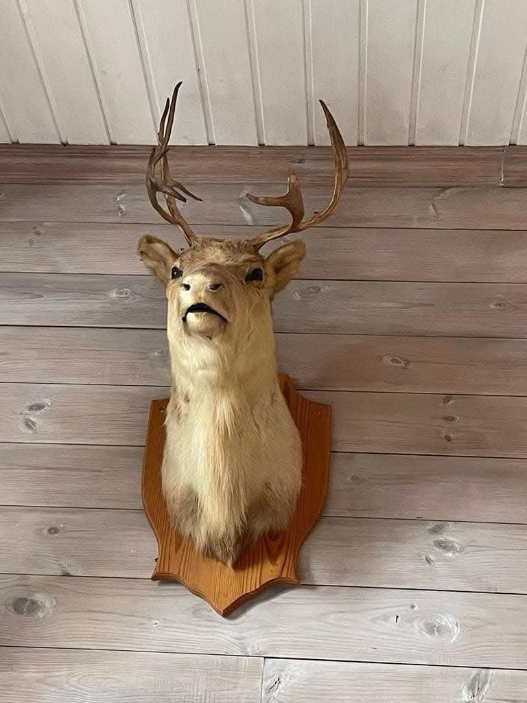 Privat bilde Galleribilde