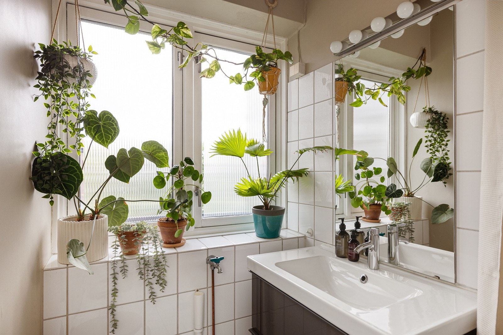 De store vinduene mot balkongen slipper inn rikelig med lys. Her har du mulighet til å skape din egen vinterhage! Galleribilde