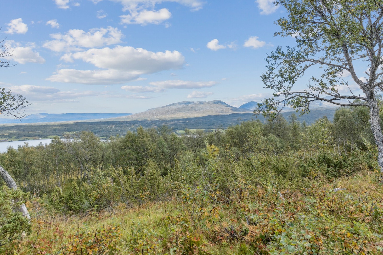 Ute og utsikt Galleribilde