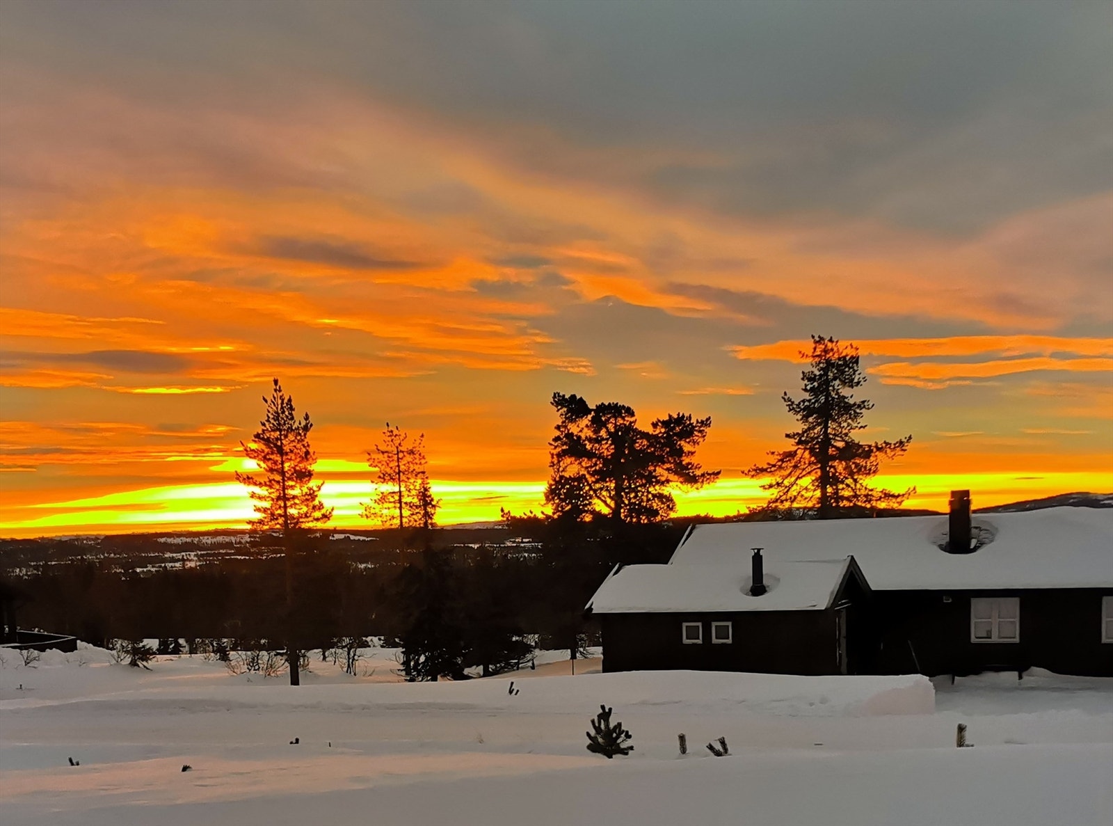 Utsikt fra stuevindu. Vinteren på Vang gir et eventyrlig landskap rett utenfor hyttedøren (privat bilde). Galleribilde