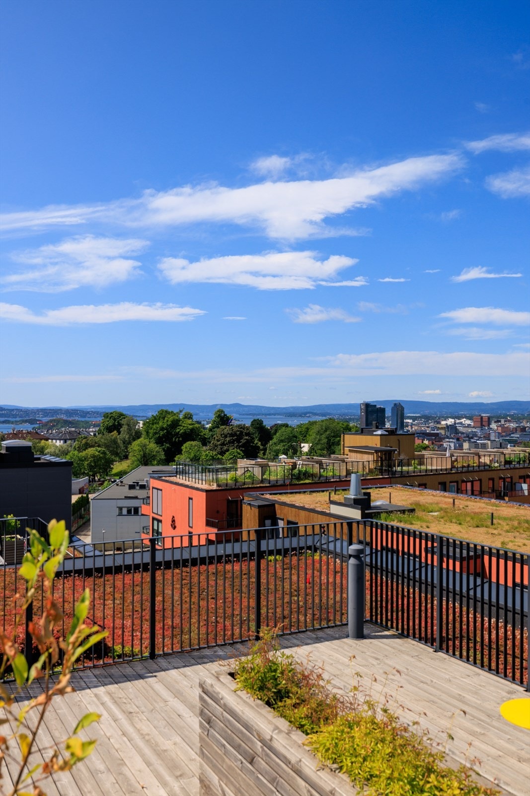 Her kan du nyte lange sommerdager med 360 graders utsikt over byen! Galleribilde