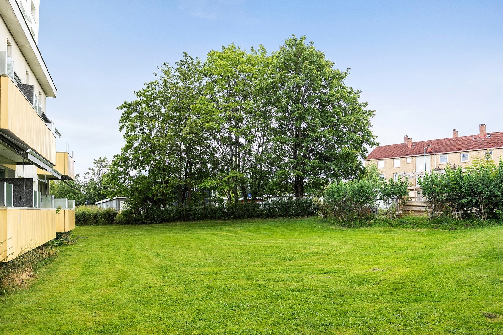 Omradebilde Galleribilde