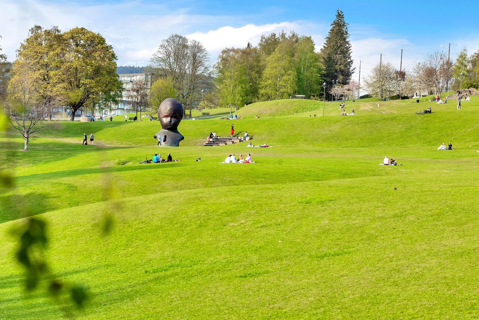 Torshovdalen byr på gode rekreasjonsmuligheter sommer som vinter, sammen med flott utsikt over byen Galleribilde