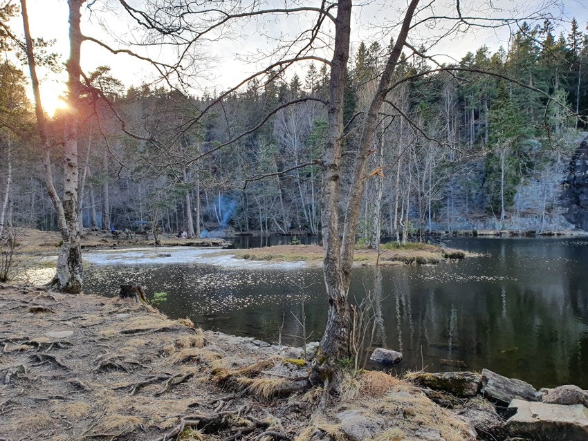 Kort vei til Båntjern Galleribilde