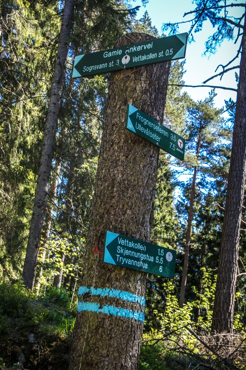 Flotte turmuligheter Galleribilde