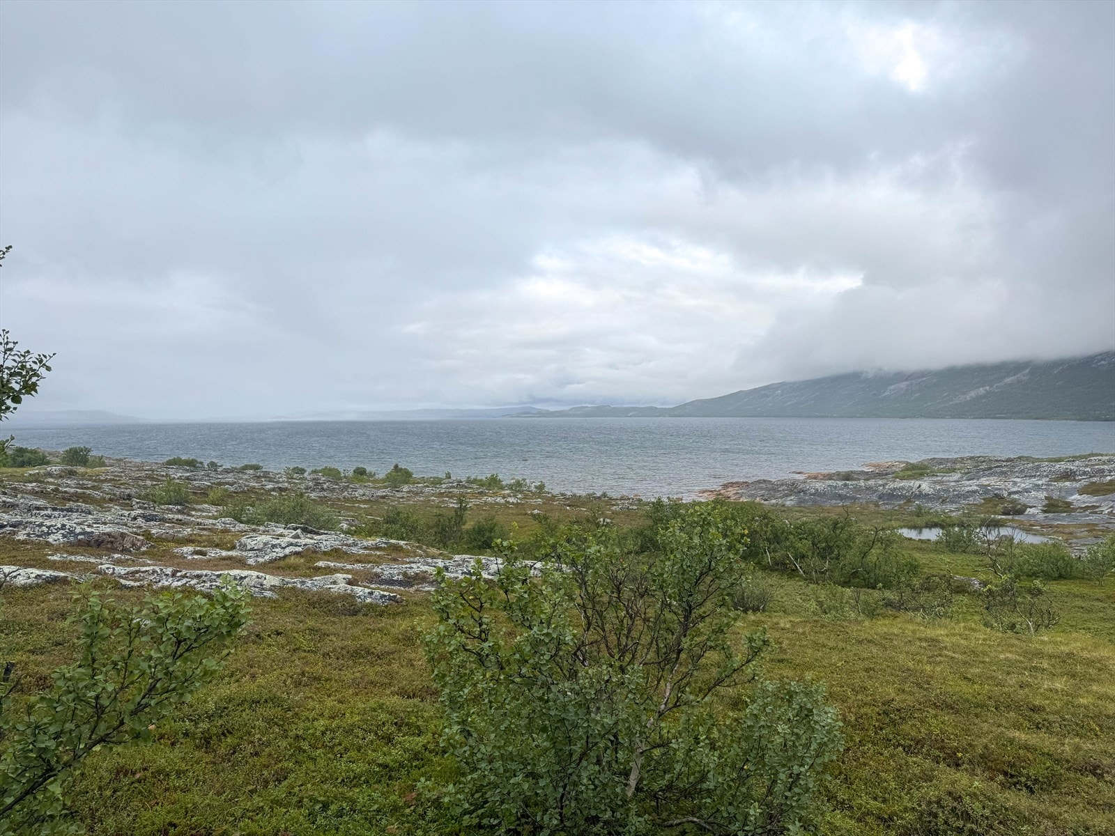 Spektakulær beliggenhet med panoramautsikt over Porsangerfjorden. Her kan du oppleve fantastisk midtnattsol. Perfekt for naturelskere som søker ro og naturskjønnhet. Galleribilde