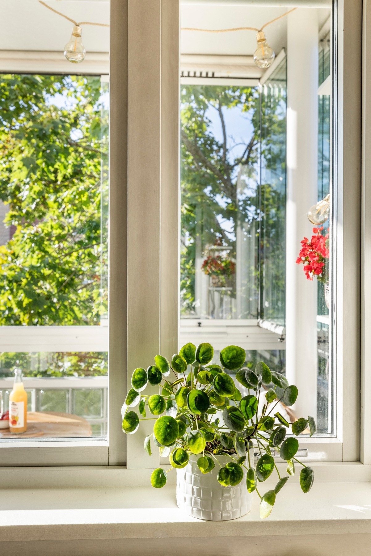 Se det fantastiske lyset! Galleribilde