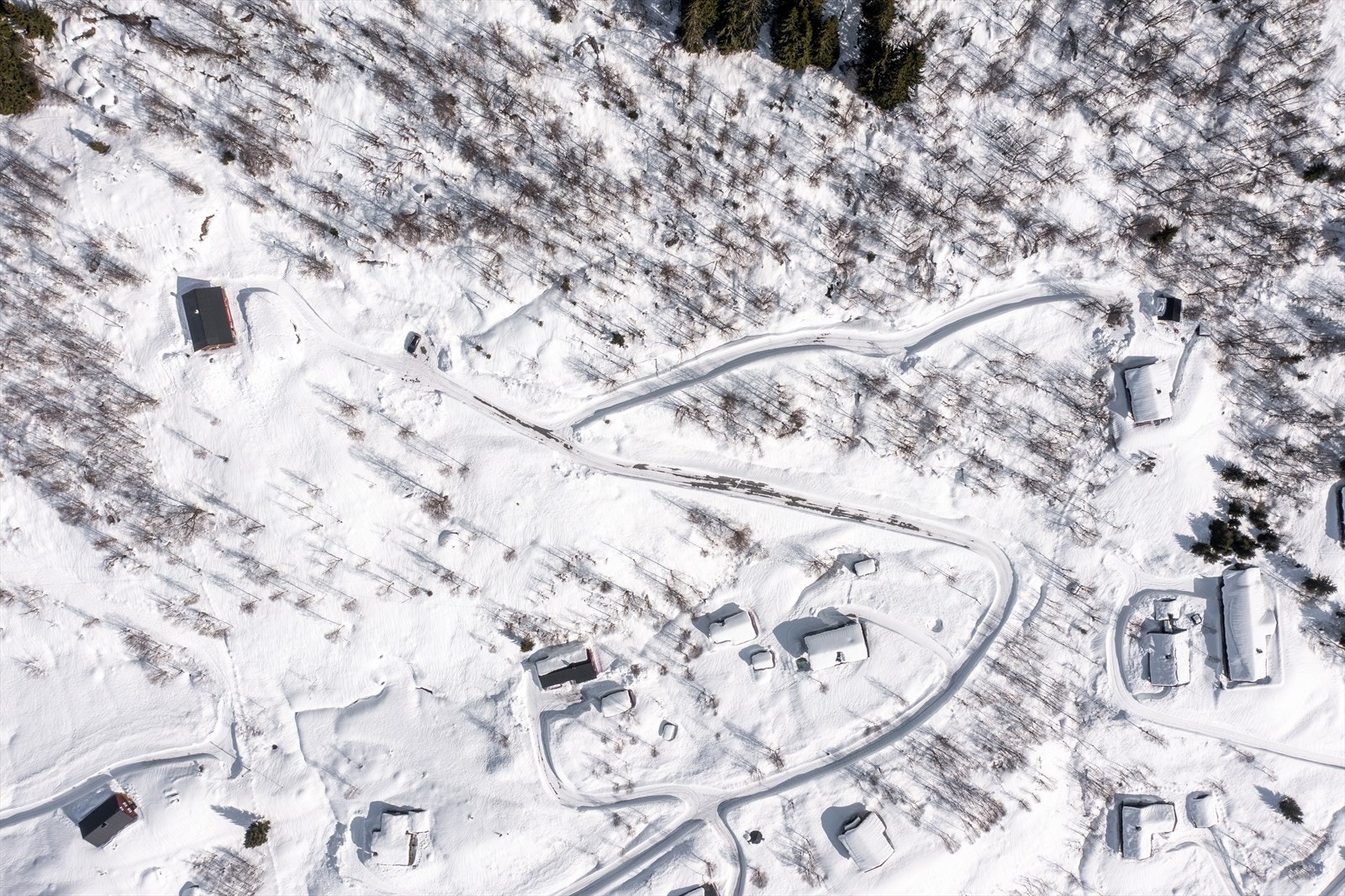 Oversiktsbilde over hyttetomtene Galleribilde