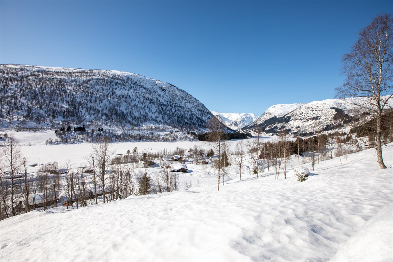 Utsikt fram mot tomt 3 Galleribilde