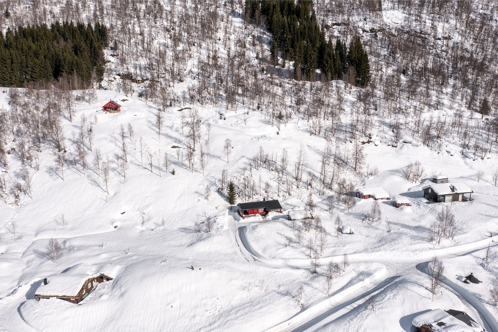 Oversiktsbilde Galleribilde