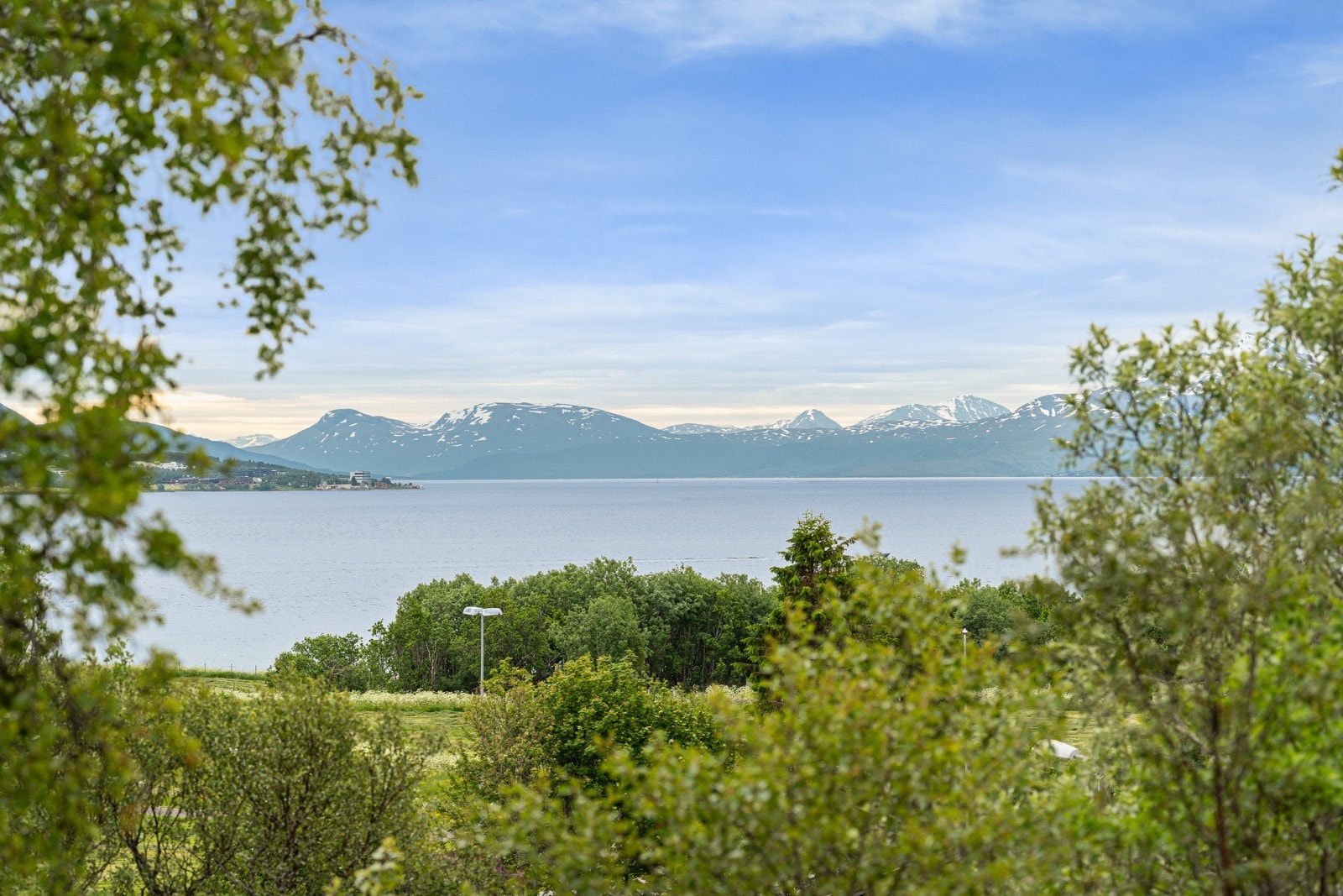 Utsikt mot sør Galleribilde