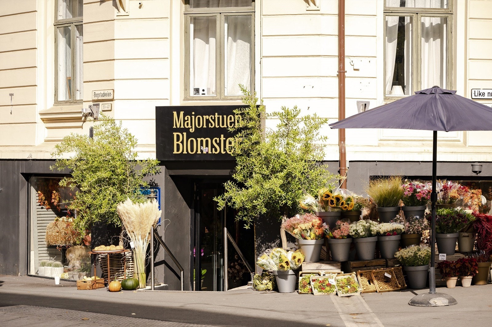 Bogstadveien, byens fineste handlegate, ligger bare noen meter unna. Her finner du et bredt shoppingtilbud og noe for enhver anledning. Galleribilde