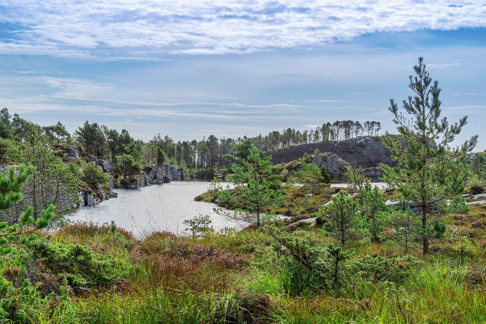 - Rett bak eiendommen finner du Pollsvatnet, med badeplass kun få minutters gange unna - Galleribilde