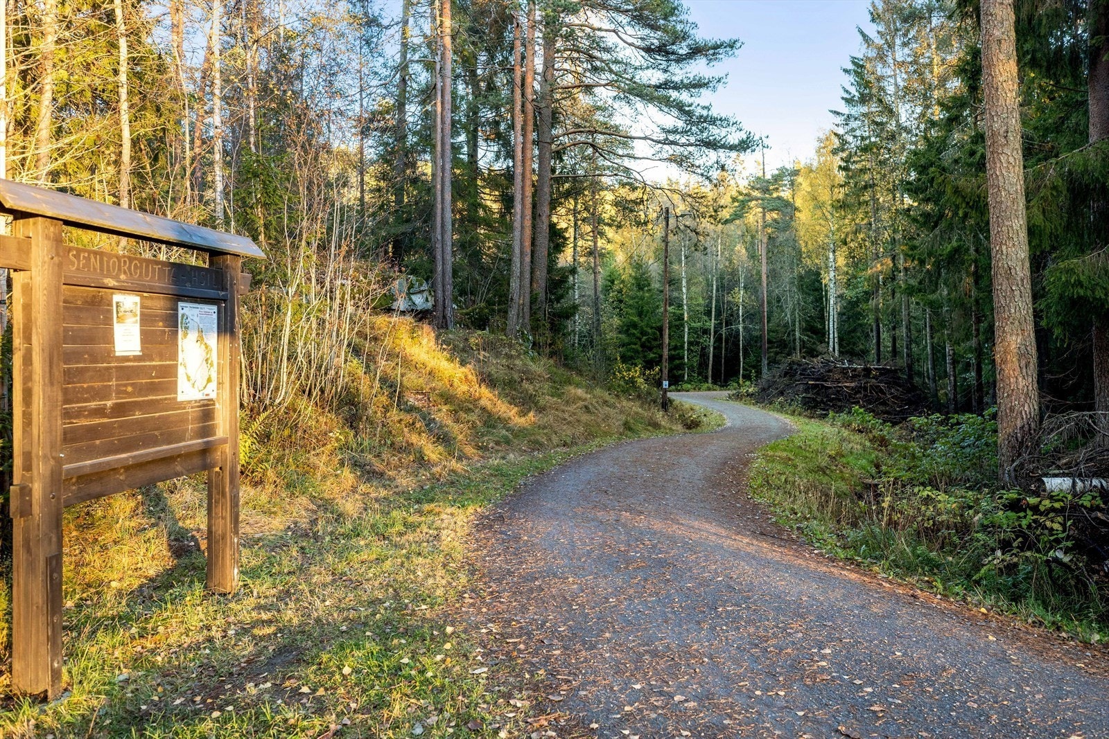 Det er kort vei til Liaskogen hvor man kan nyte turer i marka om sommeren eller langrenn på vinterstid, alternativt slalom i Liabakken. Galleribilde
