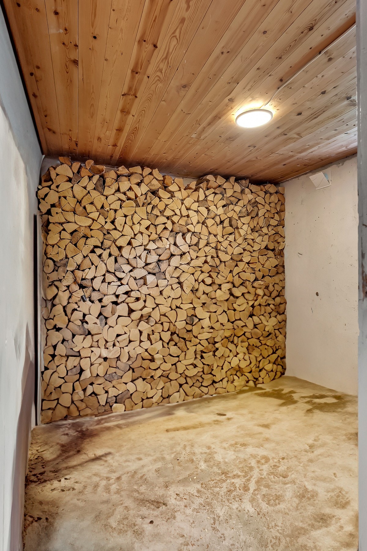 2 boder i kjelleren. Galleribilde