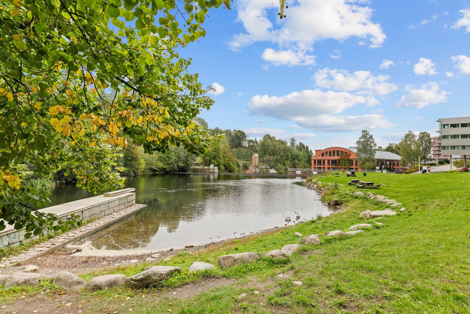 - Nydalsdammen - Galleribilde