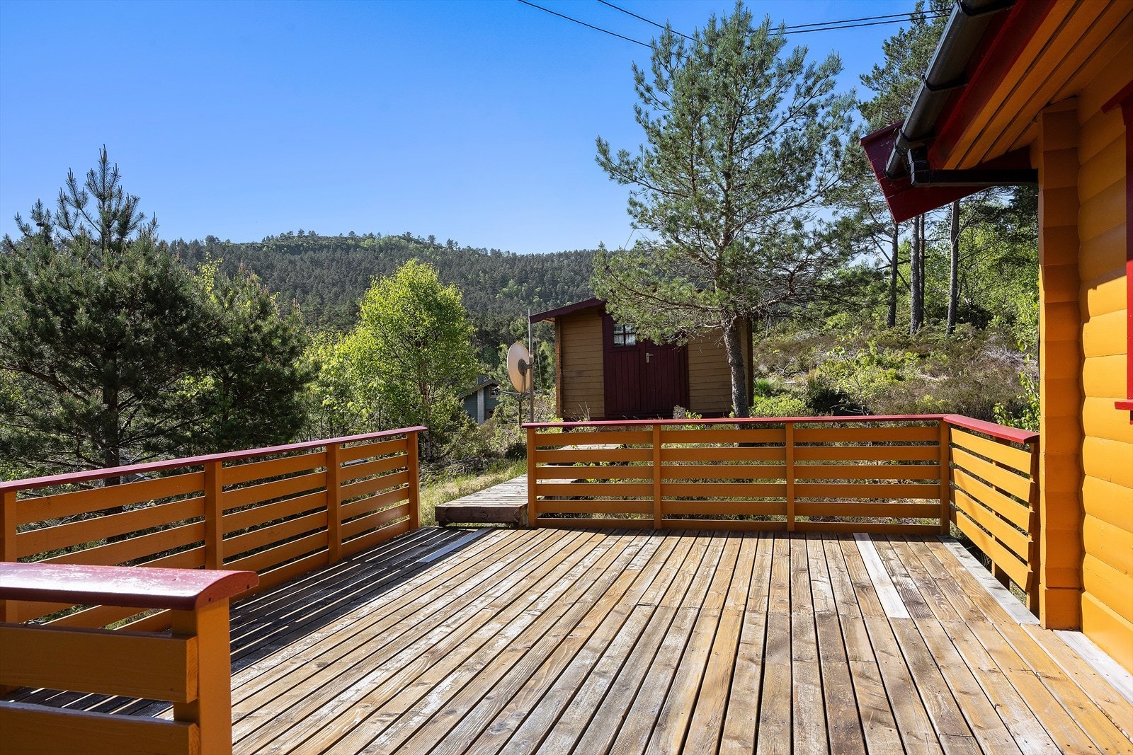 Romsleg terrasse ved inngangen. Galleribilde