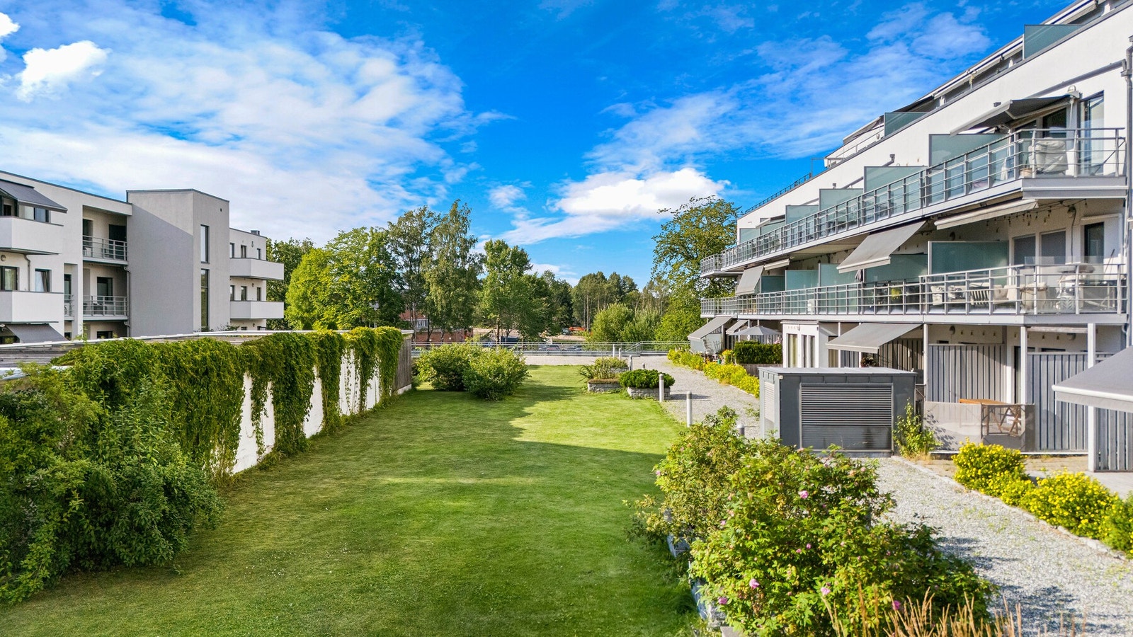 Grønt og luftig på borettslagets eiendom. Galleribilde