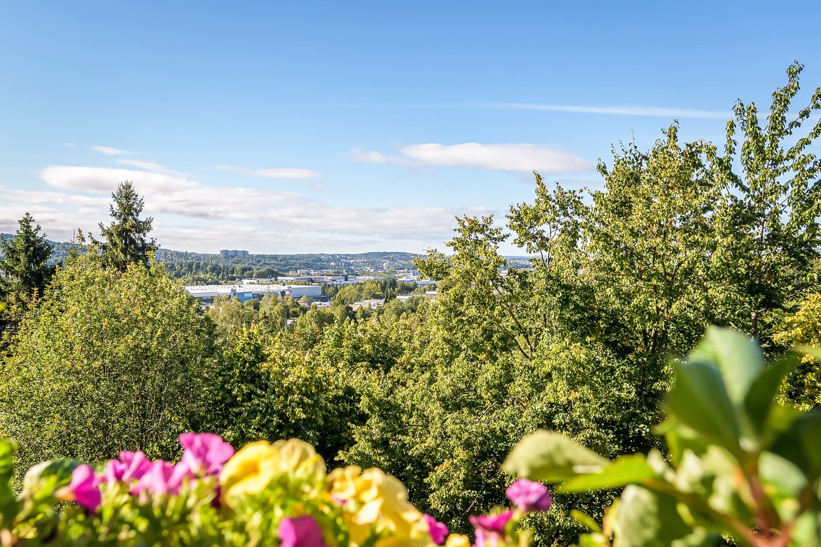 Utsikt fra balkong (beskjæring av trær skjer ila høsten) Galleribilde