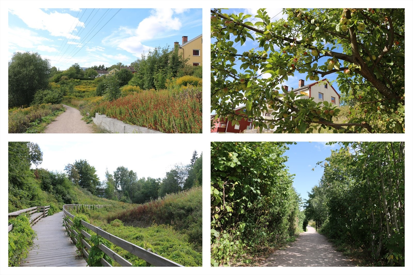 Idylliske stier like utenfor døren Galleribilde