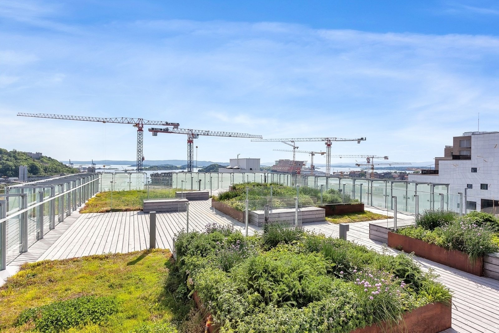 Fantastisk felles takterrasse med utsikt mot Oslofjorden, Munchmuseet, Middelalderparken og Ekebergåsen Galleribilde