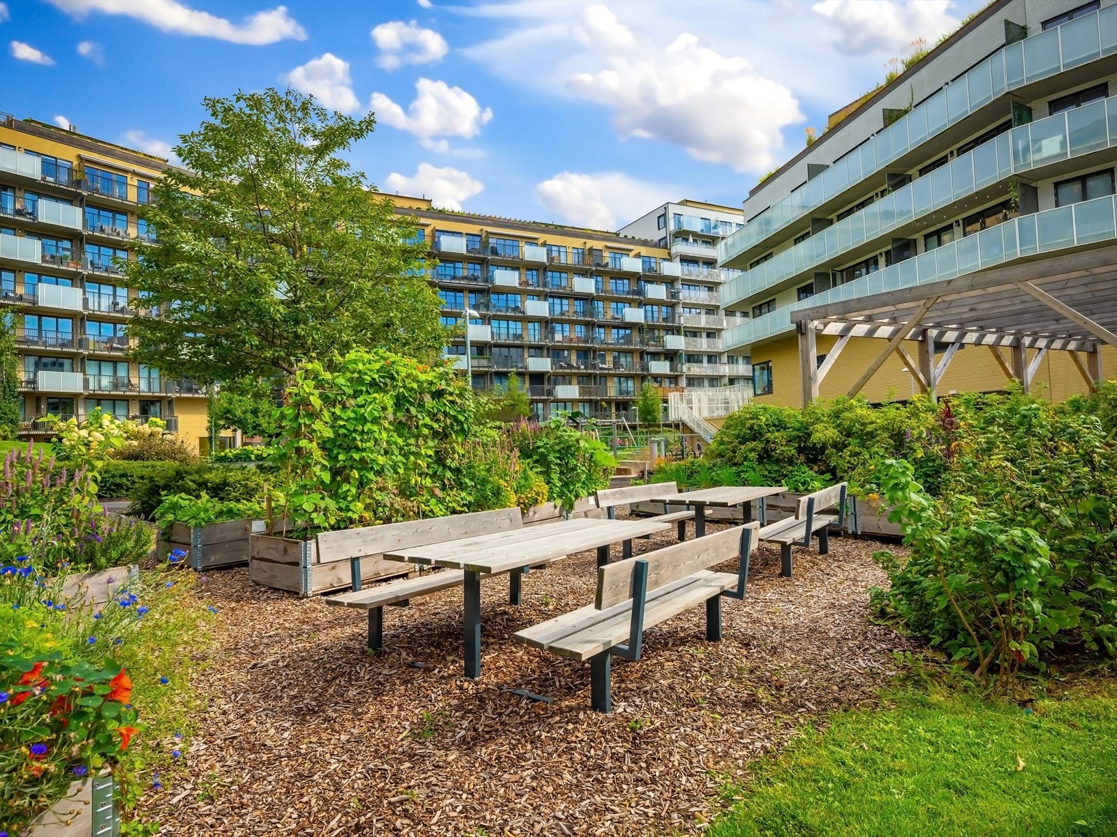 Flere, velstelte uteplasser ivaretatt av borettslagets samdyrkelag. Galleribilde