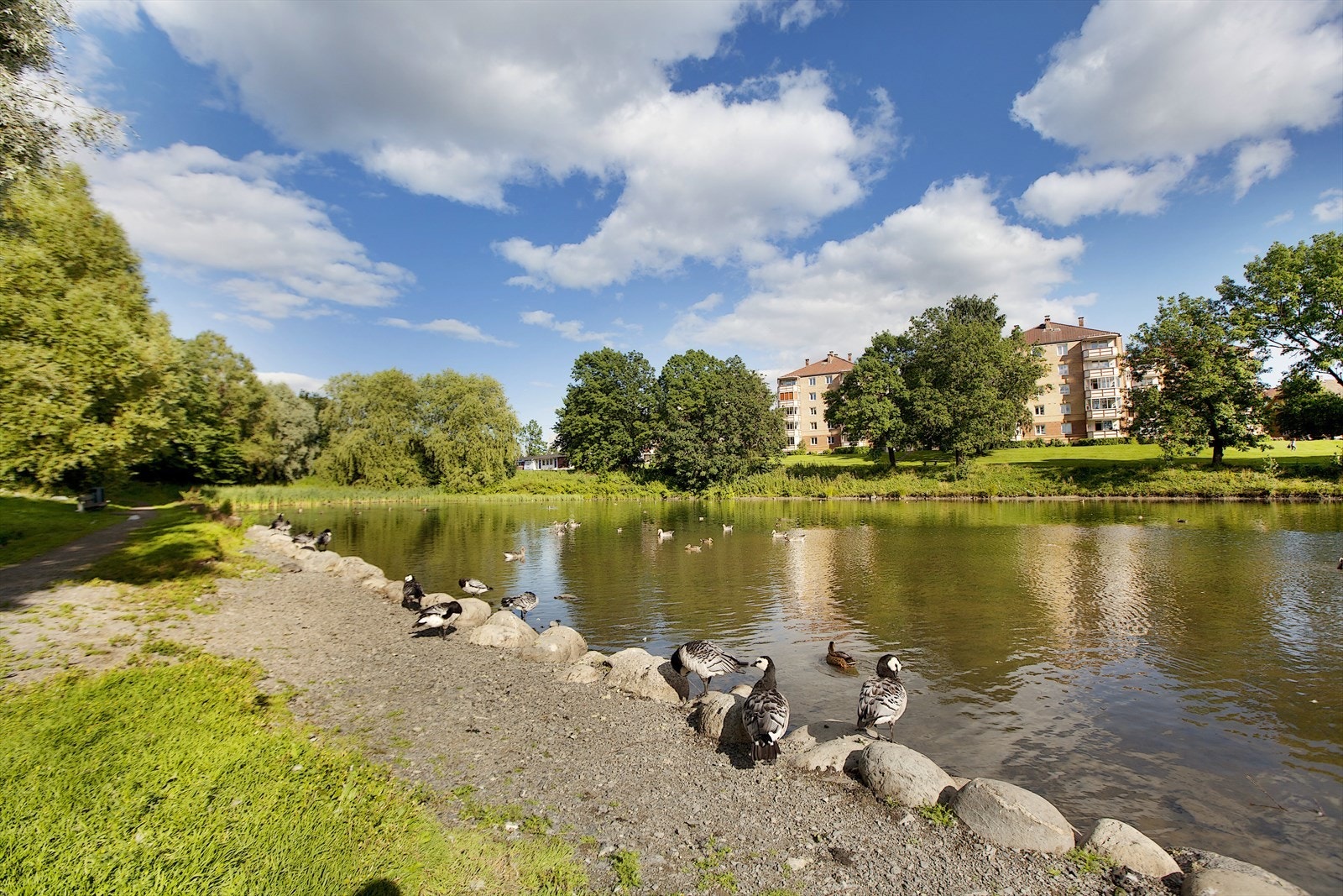 Hovindammen. Galleribilde