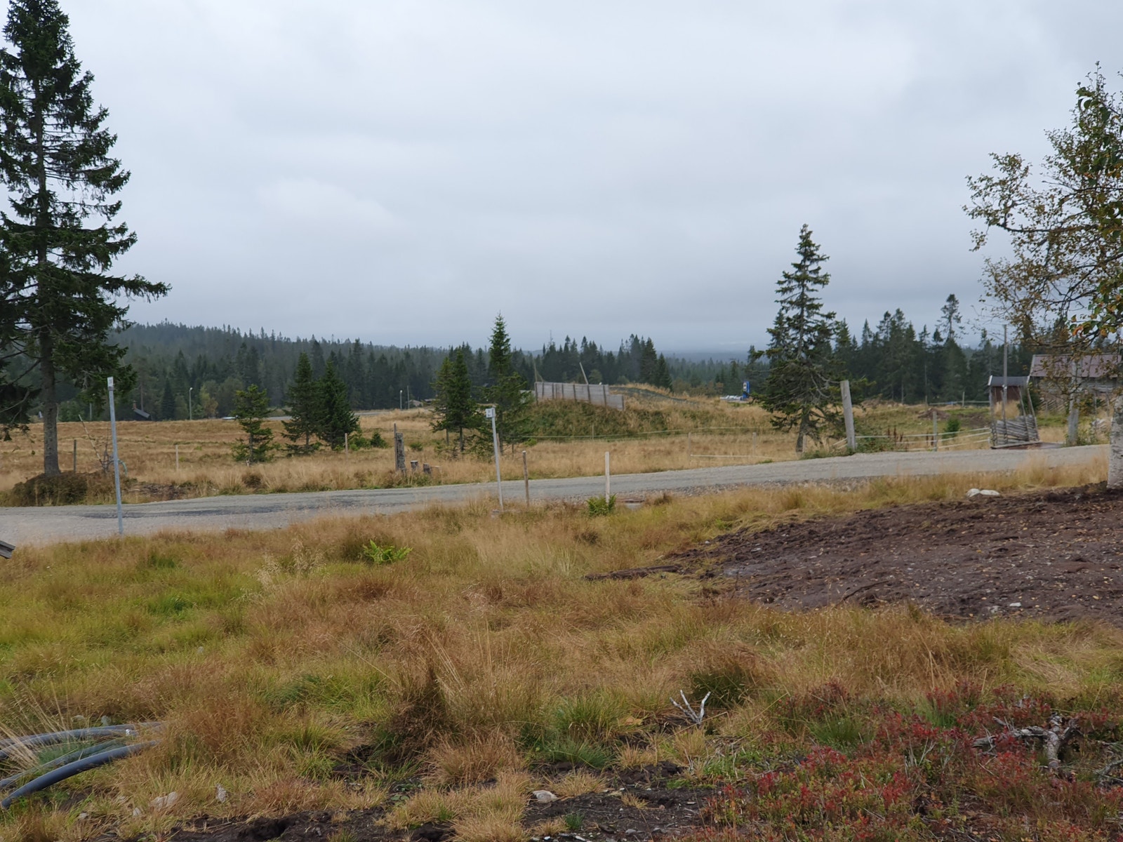 Fra tomta ser man rett bort til Alpinbakken. Det er også kort vei til Gjestegården. Galleribilde