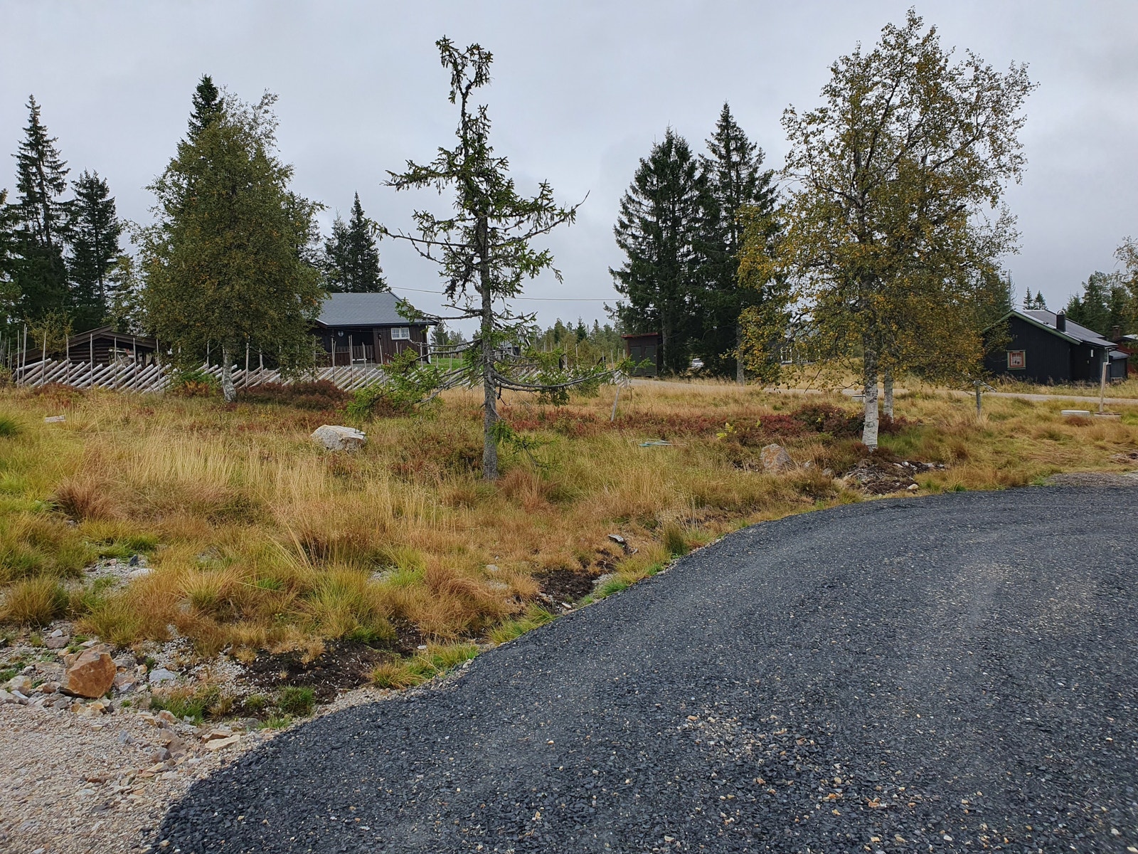 Tomta ligger fint til rett ved alpinbakken Galleribilde